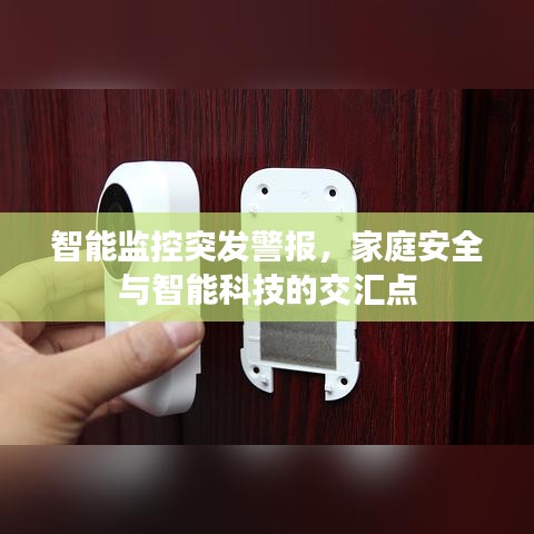 智能监控突发警报，家庭安全与智能科技的交汇点