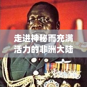 走进神秘而充满活力的非洲大陆，无限探索，共筑辉煌之旅