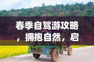 春季自驾游攻略，拥抱自然，启程赴一场春日驾车之旅