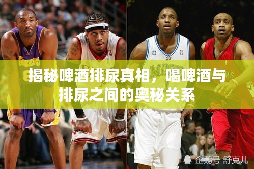 揭秘啤酒排尿真相，喝啤酒与排尿之间的奥秘关系