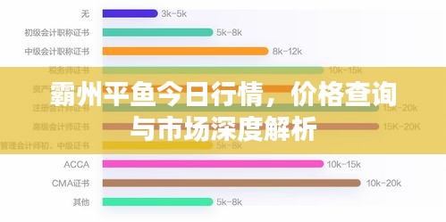 霸州平鱼今日行情，价格查询与市场深度解析