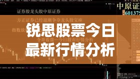 锐思股票今日最新行情分析
