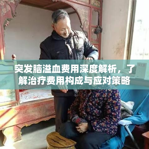 突发脑溢血费用深度解析，了解治疗费用构成与应对策略