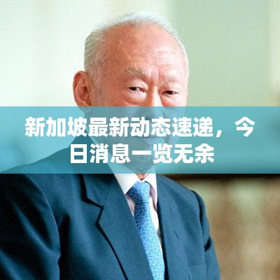 新加坡最新动态速递，今日消息一览无余