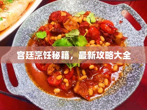 宫廷烹饪秘籍，最新攻略大全