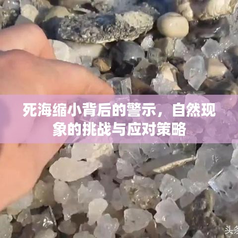 死海缩小背后的警示，自然现象的挑战与应对策略