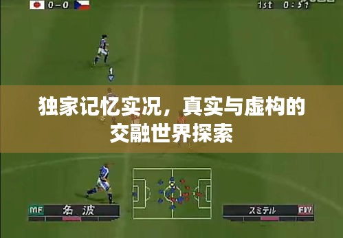 独家记忆实况，真实与虚构的交融世界探索