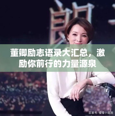董卿励志语录大汇总，激励你前行的力量源泉