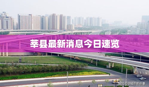莘县最新消息今日速览