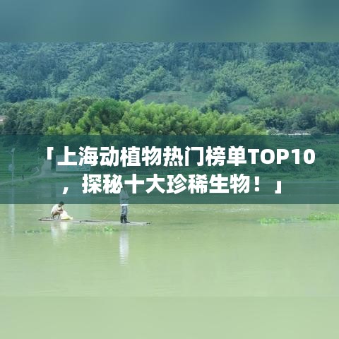 「上海动植物热门榜单TOP10，探秘十大珍稀生物！」
