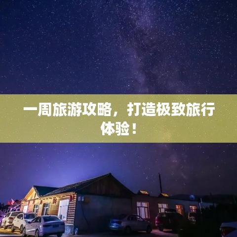 纲挈目张