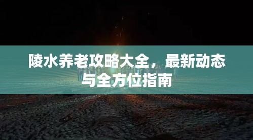 陵水养老攻略大全，最新动态与全方位指南