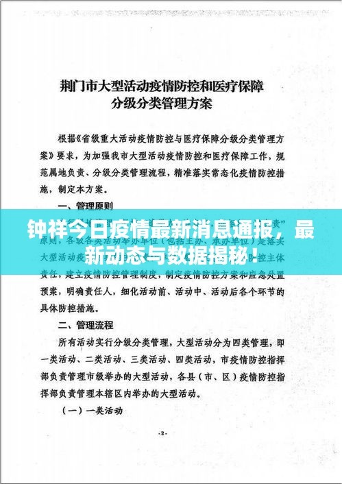 钟祥今日疫情最新消息通报，最新动态与数据揭秘！