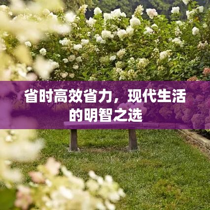 省时高效省力，现代生活的明智之选