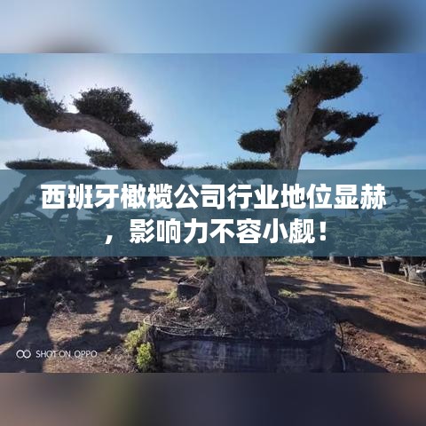 西班牙橄榄公司行业地位显赫，影响力不容小觑！