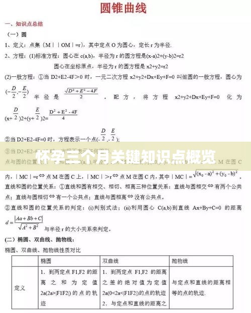 怀孕三个月关键知识点概览