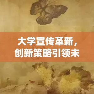 大学宣传革新，创新策略引领未来风潮！