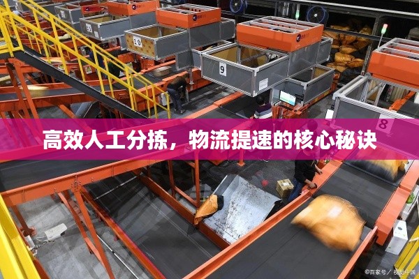 高效人工分拣，物流提速的核心秘诀