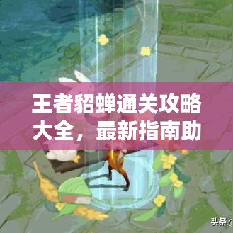 王者貂蝉通关攻略大全，最新指南助你轻松过关！
