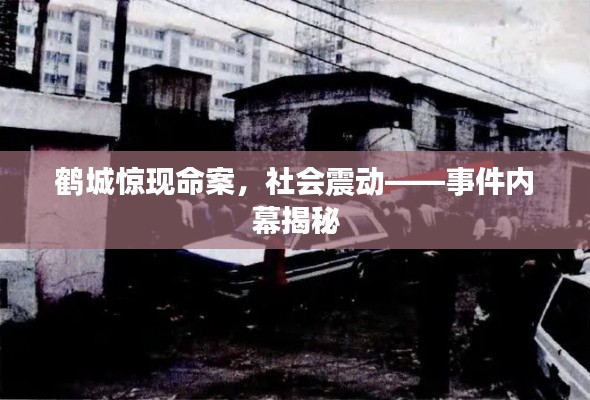 鹤城惊现命案，社会震动——事件内幕揭秘
