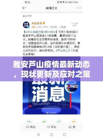 雅安芦山疫情最新动态，现状更新及应对之策