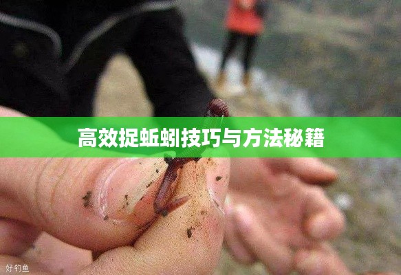 高效捉蚯蚓技巧与方法秘籍