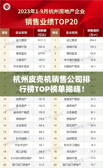 杭州皮壳机销售公司排行榜TOP榜单揭晓！