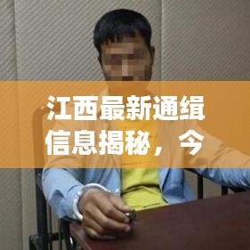 江西最新通缉信息揭秘，今日追捕行动重磅更新