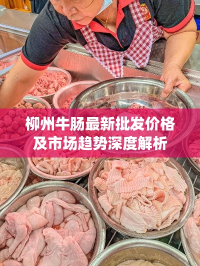 柳州牛肠最新批发价格及市场趋势深度解析