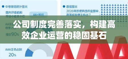 公司制度完善落实，构建高效企业运营的稳固基石