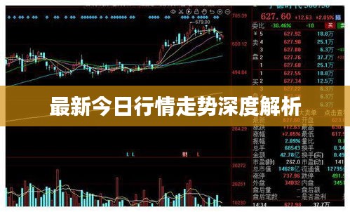 最新今日行情走势深度解析