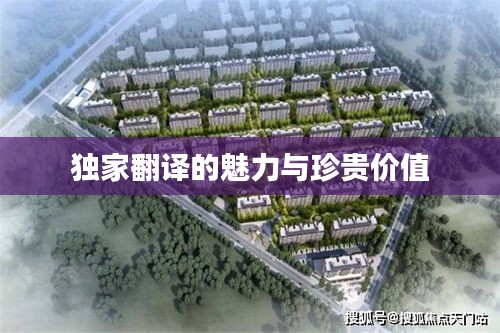 独家翻译的魅力与珍贵价值