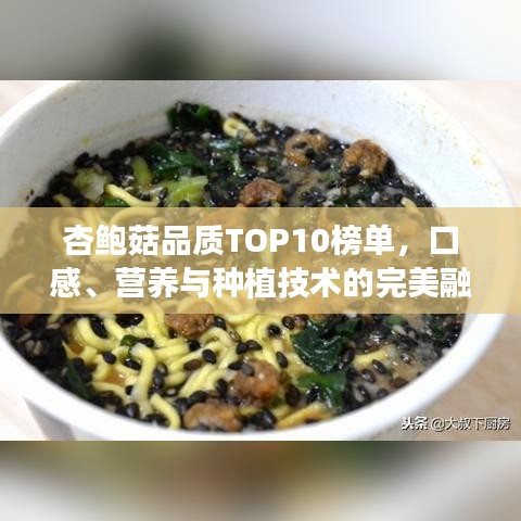 杏鲍菇品质TOP10榜单，口感、营养与种植技术的完美融合