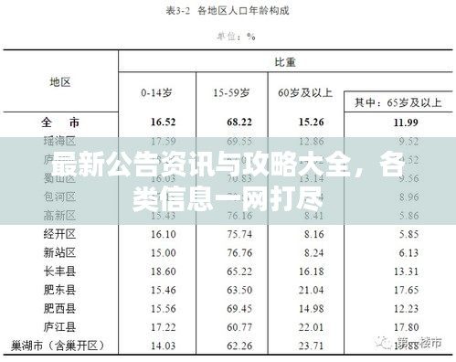 最新公告资讯与攻略大全，各类信息一网打尽