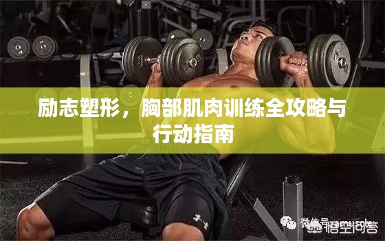 励志塑形，胸部肌肉训练全攻略与行动指南