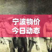宁波物价今日动态更新，最新消息一网打尽！