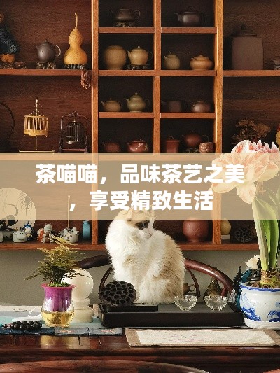 茶喵喵，品味茶艺之美，享受精致生活