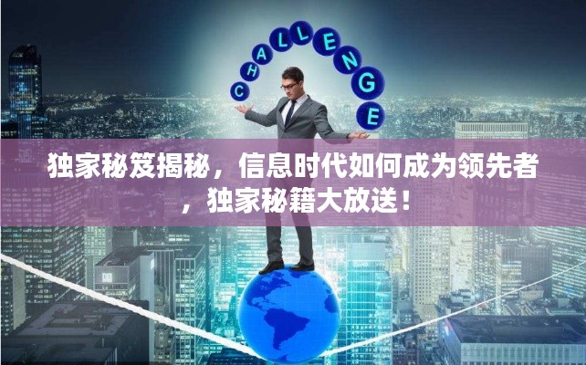 独家秘笈揭秘，信息时代如何成为领先者，独家秘籍大放送！