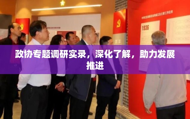 政协专题调研实录，深化了解，助力发展推进