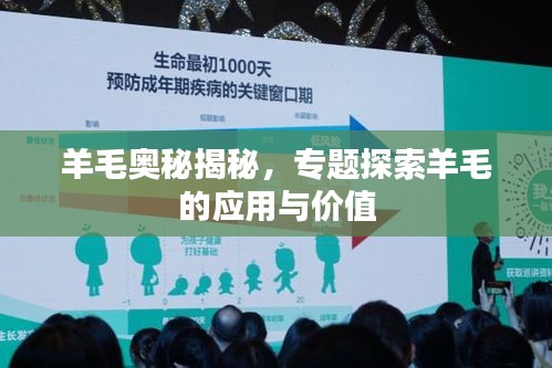 羊毛奥秘揭秘，专题探索羊毛的应用与价值