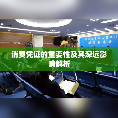 消费凭证的重要性及其深远影响解析