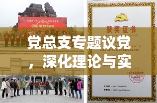党总支专题议党，深化理论与实践探讨，引领党建新篇章