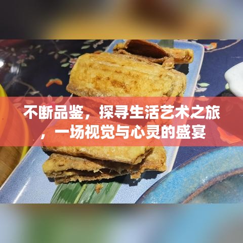 不断品鉴，探寻生活艺术之旅，一场视觉与心灵的盛宴