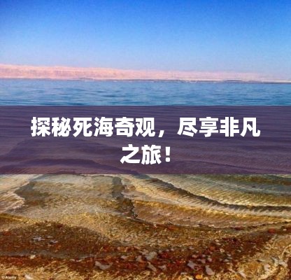 探秘死海奇观，尽享非凡之旅！