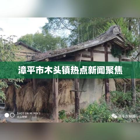 漳平市木头镇热点新闻聚焦