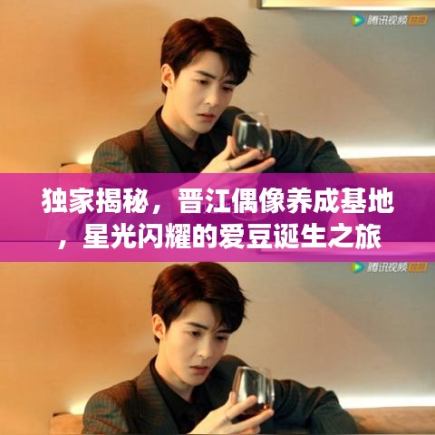 独家揭秘，晋江偶像养成基地，星光闪耀的爱豆诞生之旅