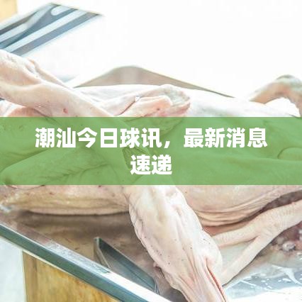 潮汕今日球讯，最新消息速递