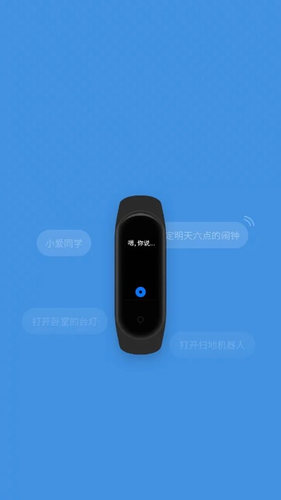 小米手环运动下载官方,创新解析执行策略_轻量版_v2.747