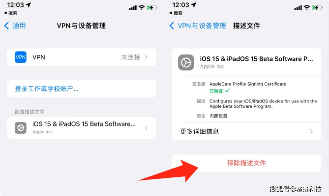 苹果区别版本与系统研究解释定义——高级款v1.665及软件许可证类型详解