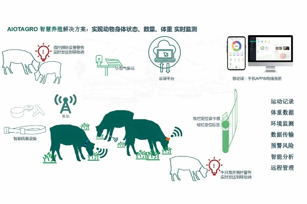 动物农场版本,数据分析驱动执行-6DM_v8.629